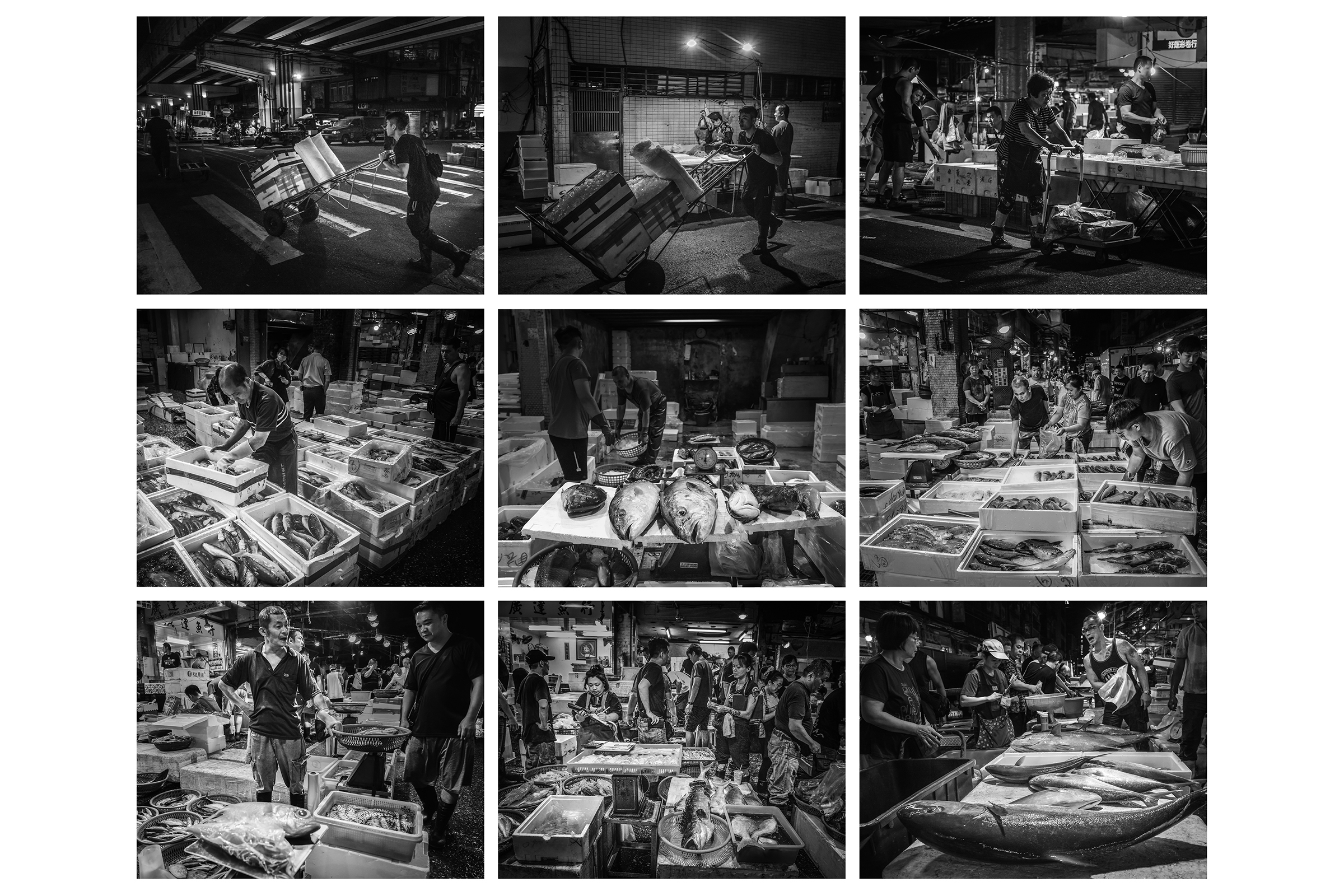 [基隆崁仔頂魚市] 許哲嘉