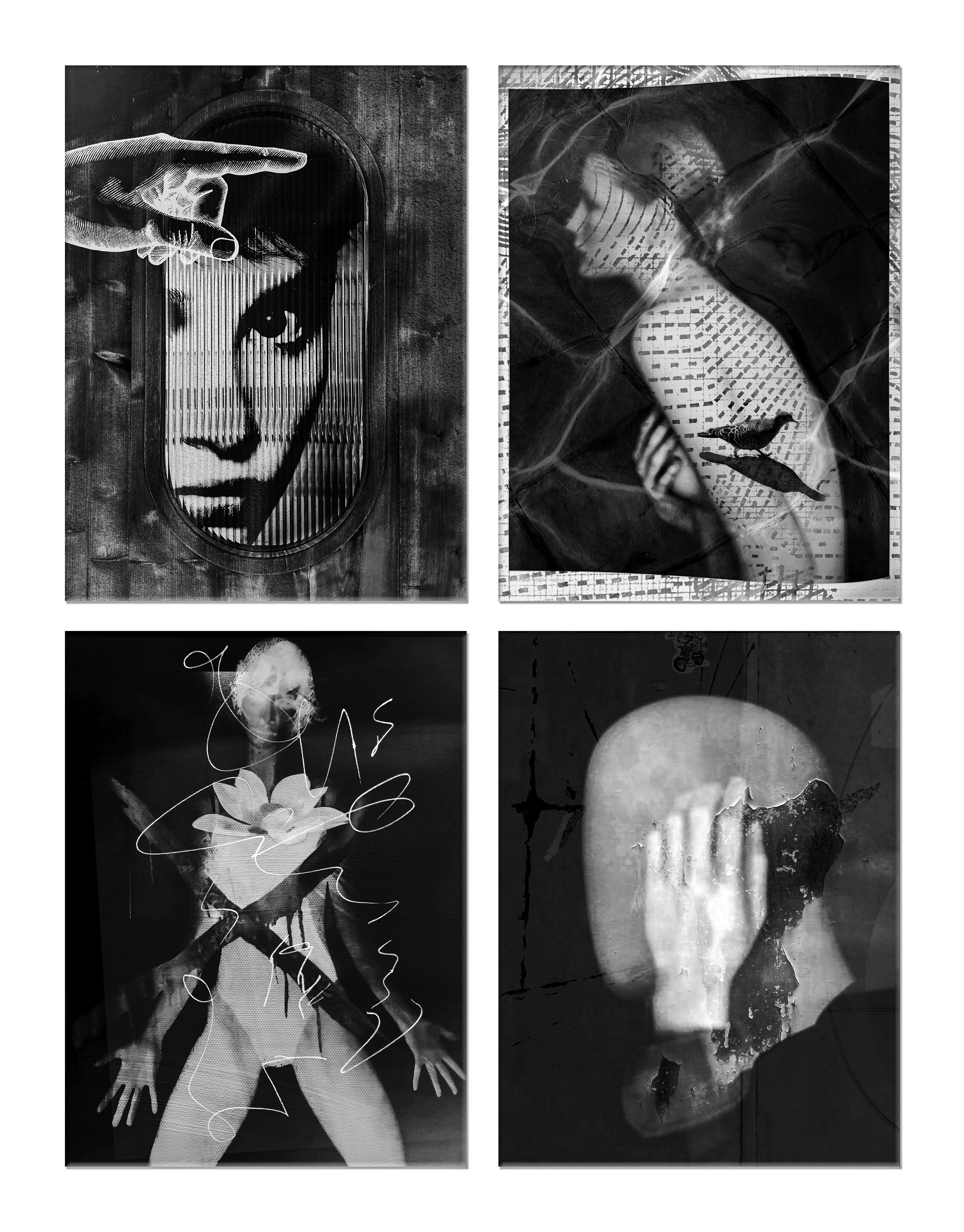 [身份編織：匿名四重奏] 黃嘉琬