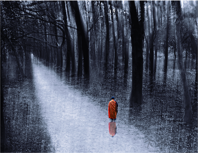 [苦行僧] 莊南圖