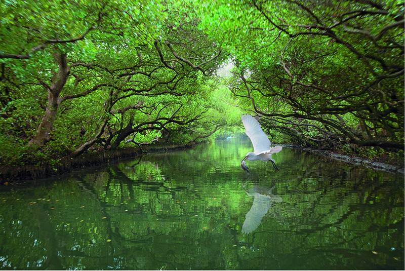[衣食古道] 柯明偉