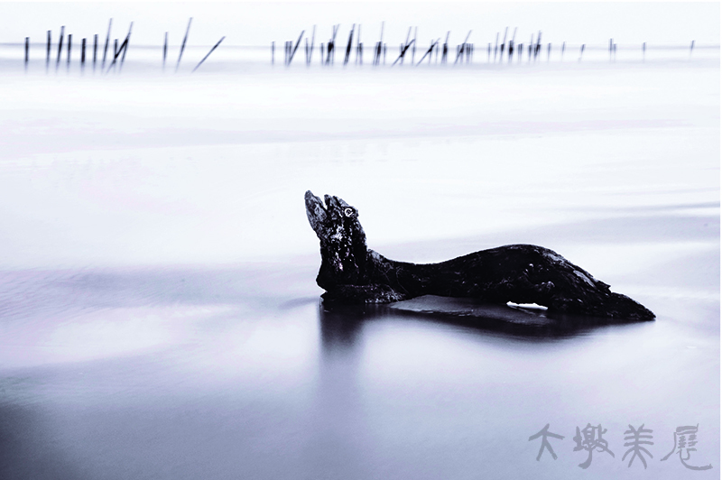 [海的低吟] 莊家榮