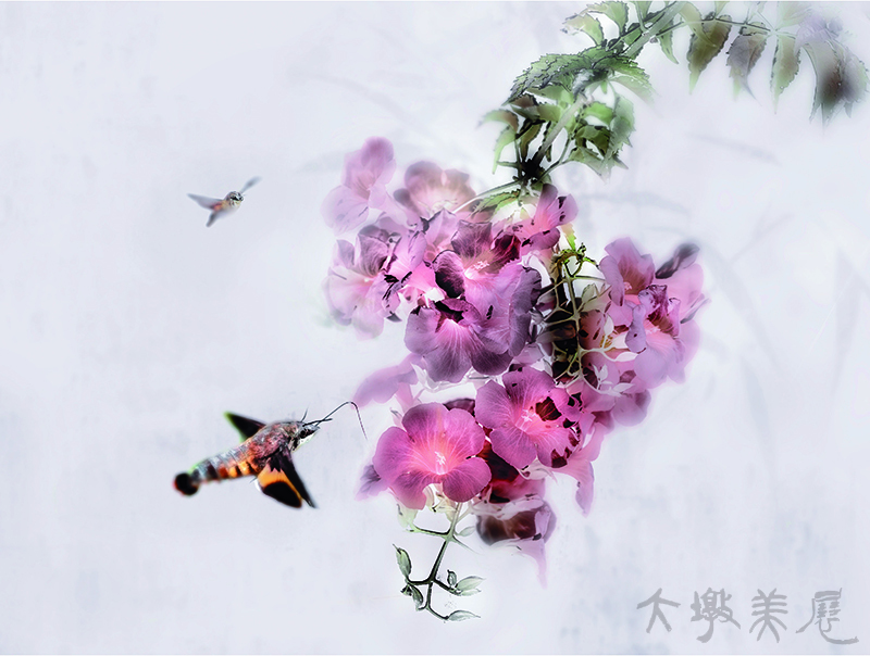 [陌上雙娥] 黃植生