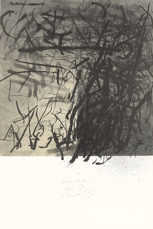 [陰影—2016—04] Anna Trojanowska