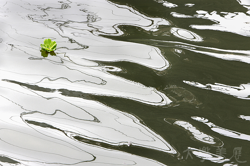 [何處？是依歸！！] 徐美菊