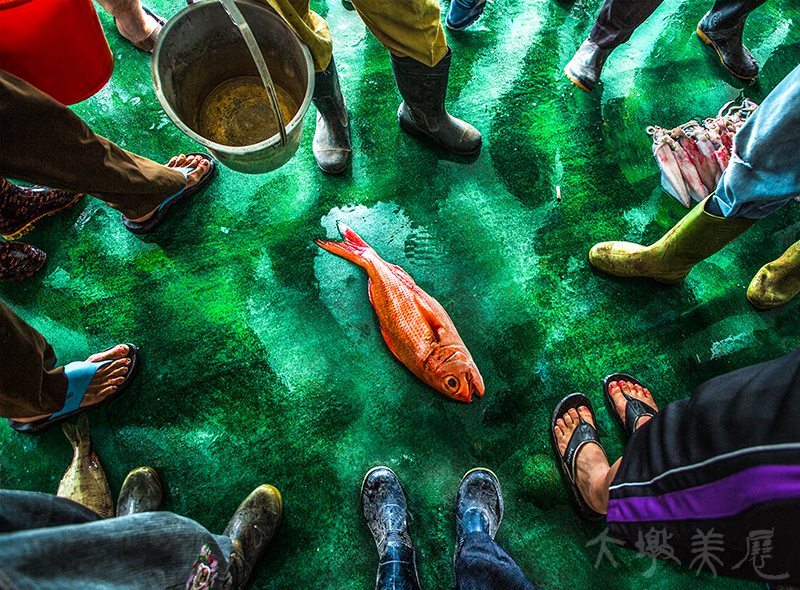 [最後的尊貴] 張簡 于頌