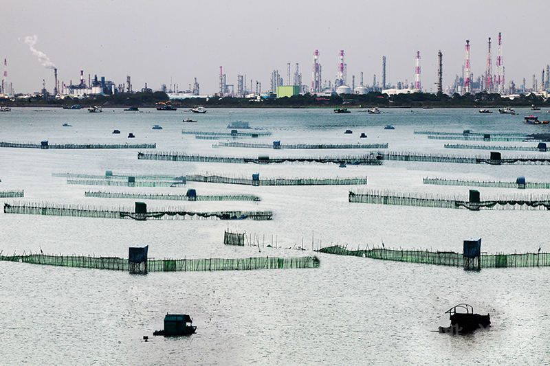 [化工廠危害食物鏈] 張珠君