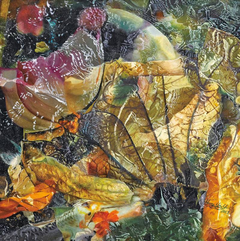 [錦鯉戲荷影] 黃玉雲