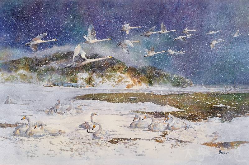 [展翼天鵝] 龔維國